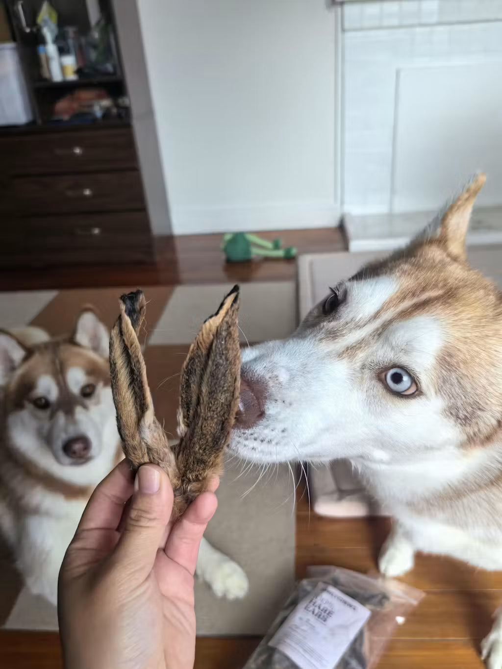 Hare Ear