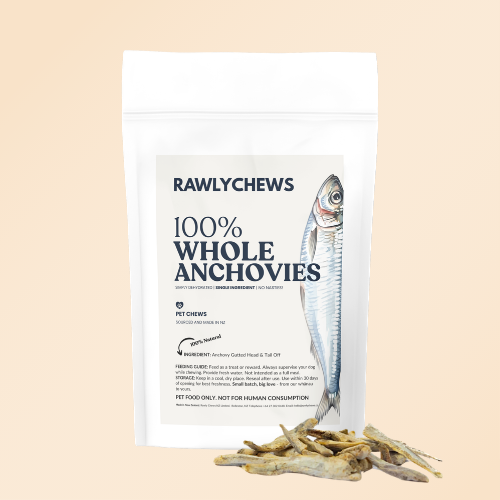 Anchovies