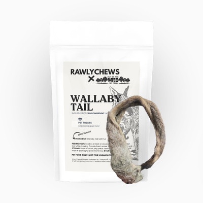 Wallaby Tail (Fur only)