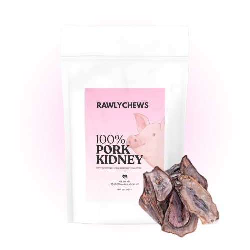 Pork Kidney