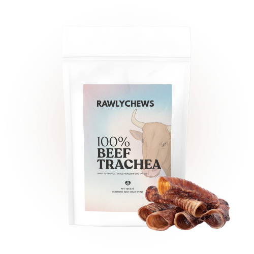 Beef Trachea