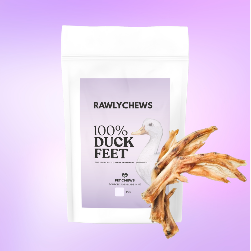 Duck Feet