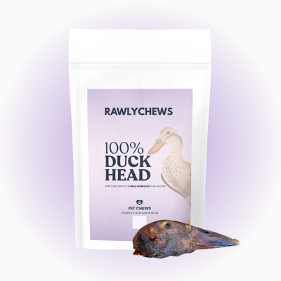 Duck Head