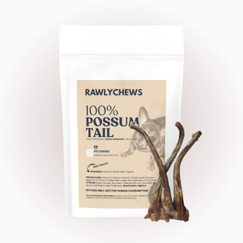 Possum Tail (No Fur)