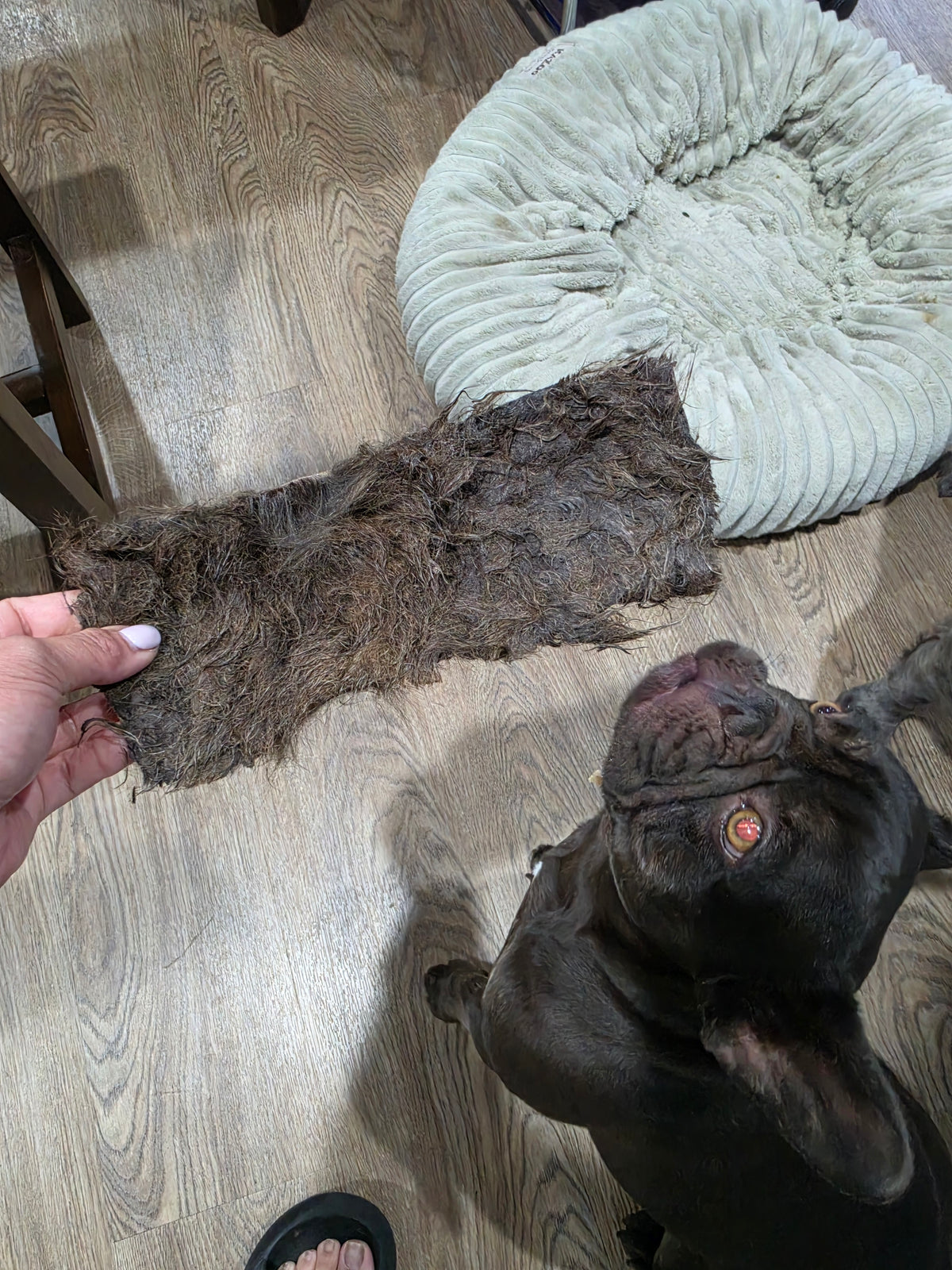 Wallaby Skin Plates