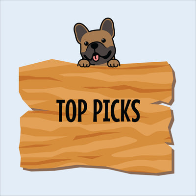 Top Picks dog treats collection from Rawly Chews – NZ made, best-selling, natural and preservative-free