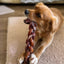 Beef Braided Pizzle