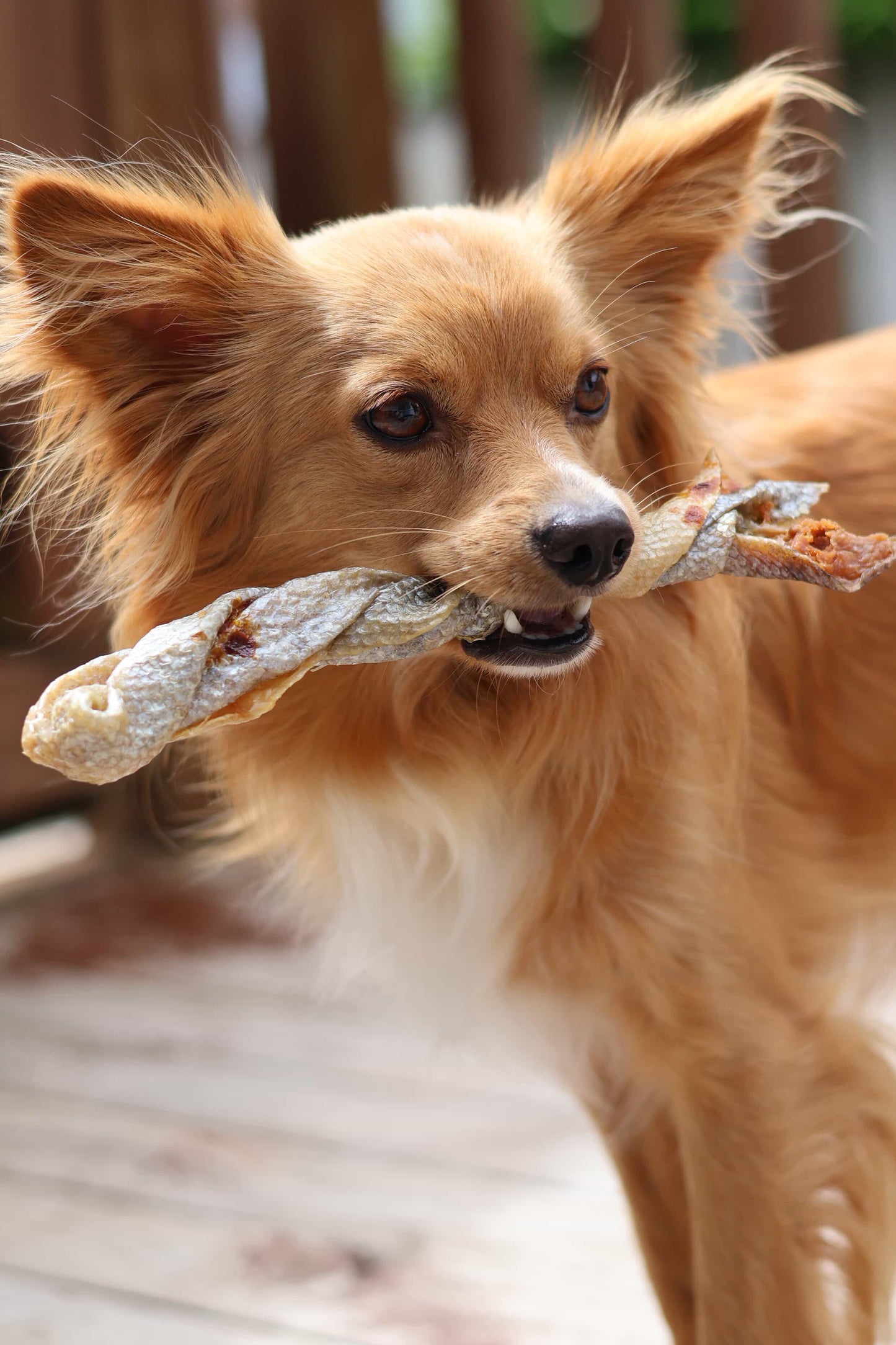 King Salmon Skin Twister