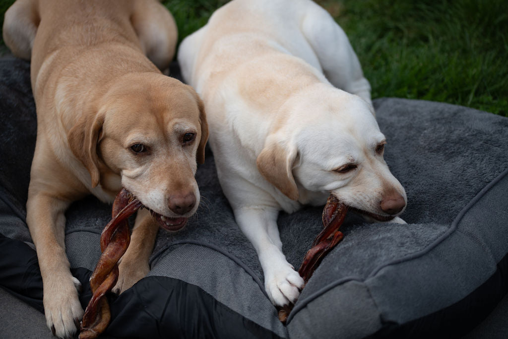 Beef Pizzle Twister