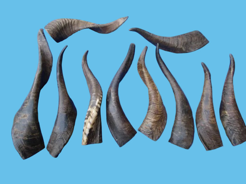 Goat Horn