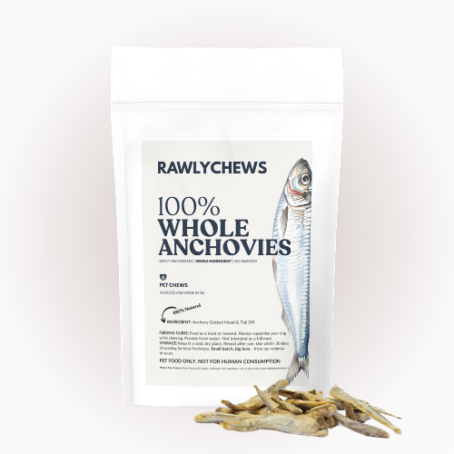 Anchovies