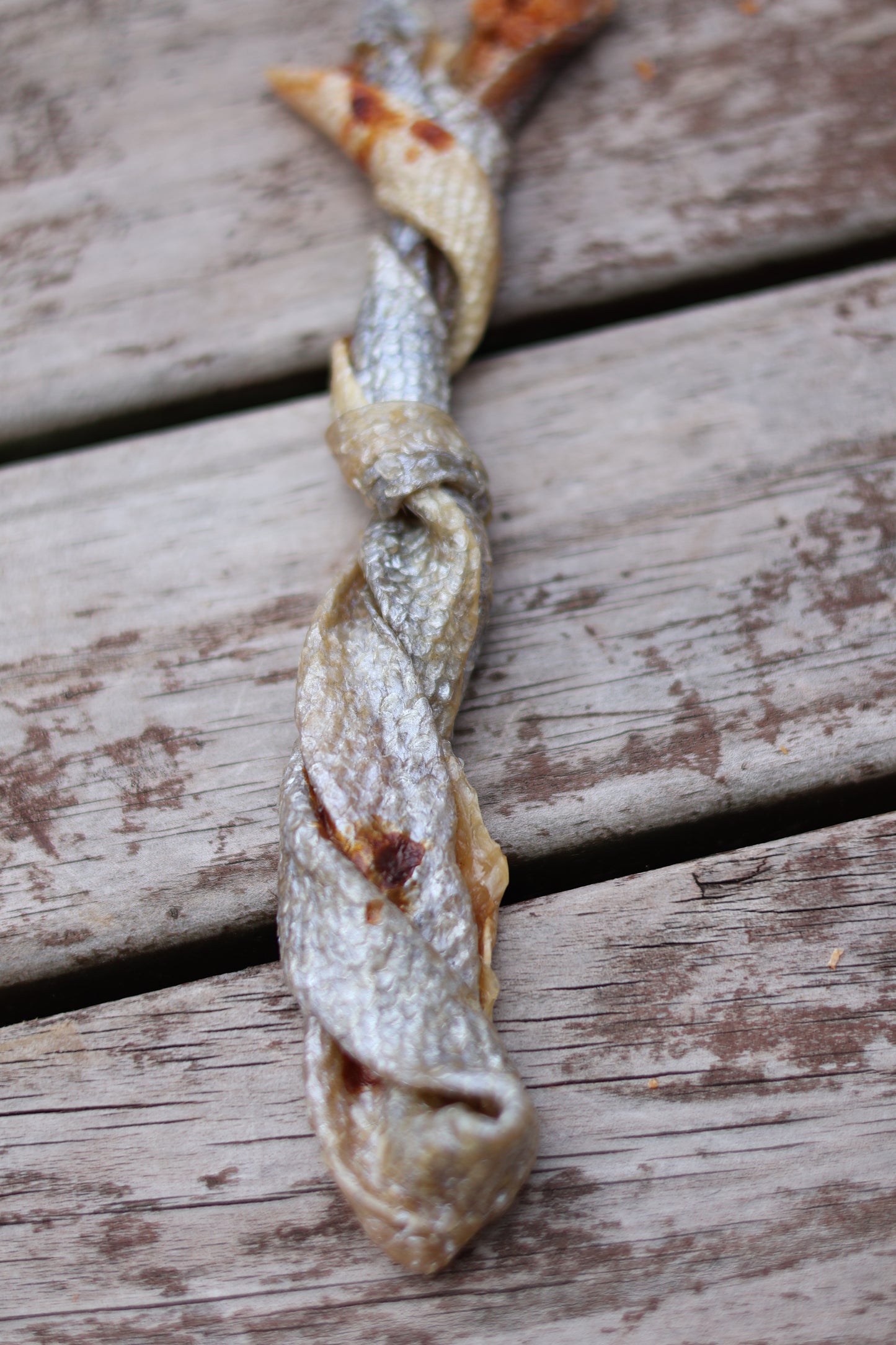 King Salmon Skin Twister