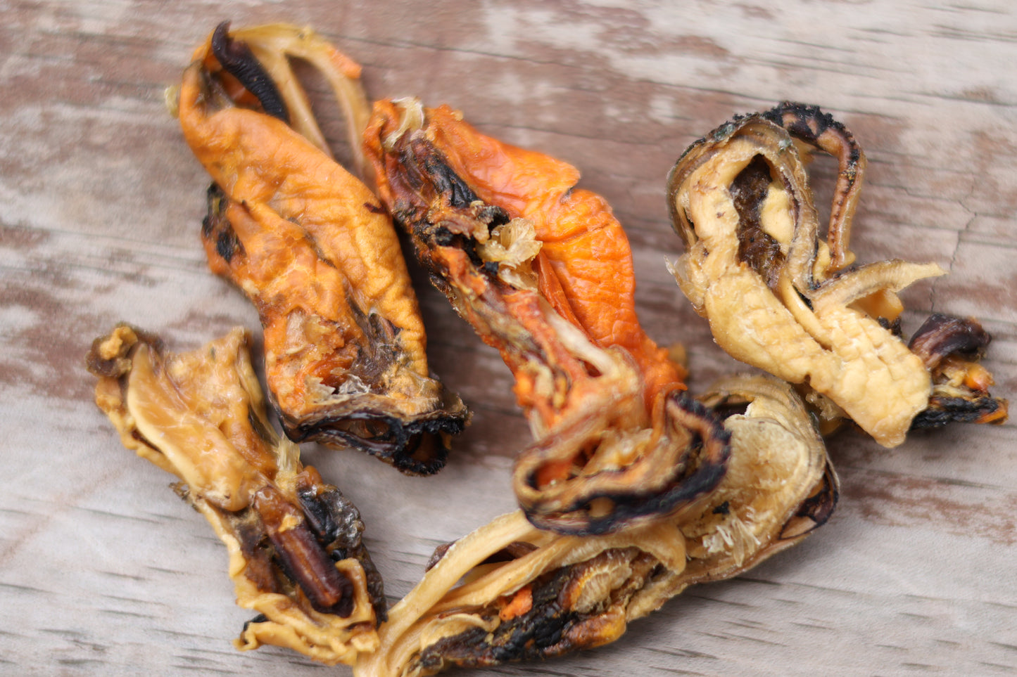 Green Lipped Mussels