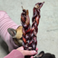 Beef Braided Pizzle