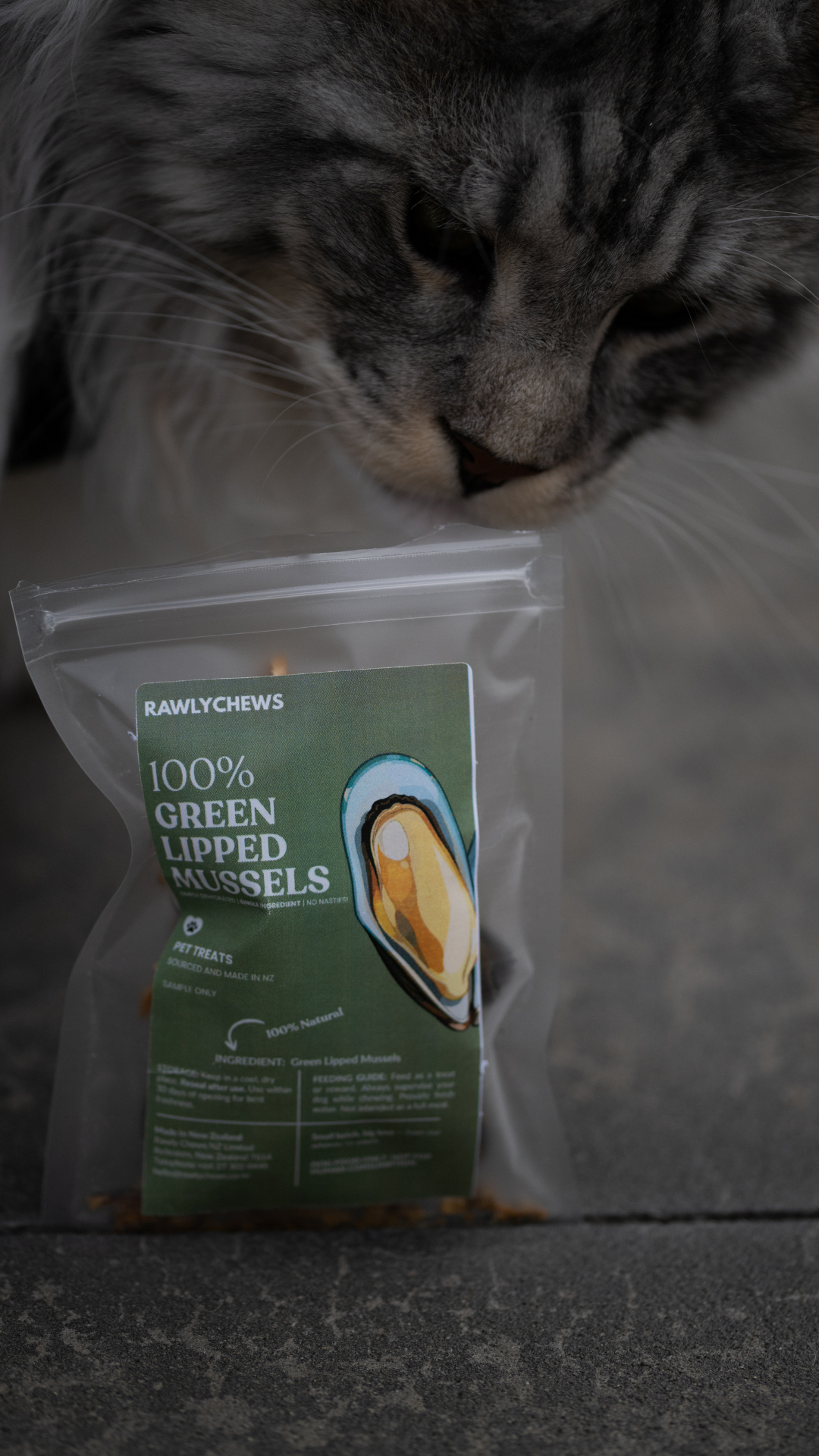 Green Lipped Mussels