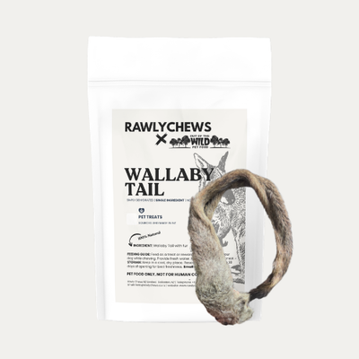 Wallaby Tail (Fur only)