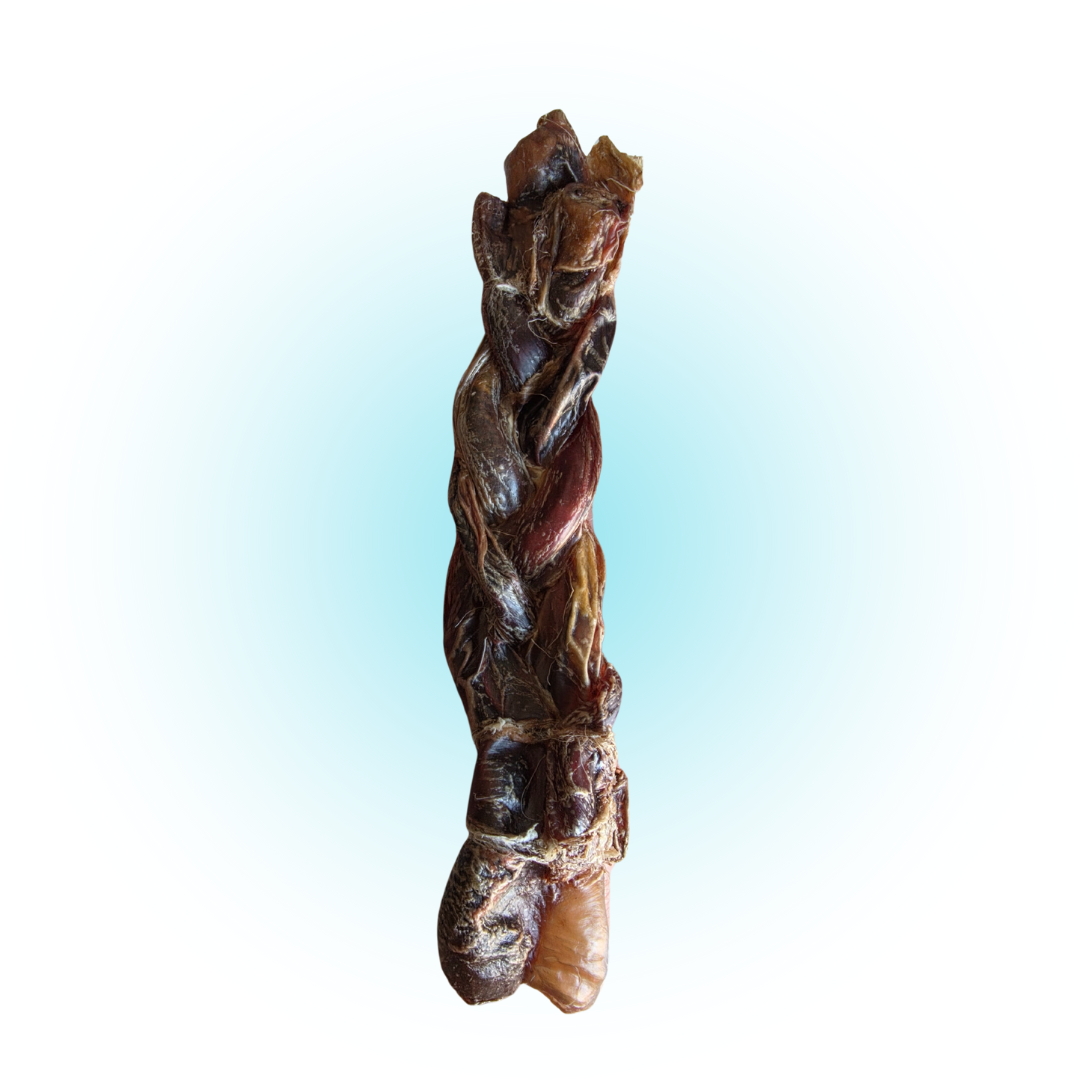 Venison Braided Pizzle