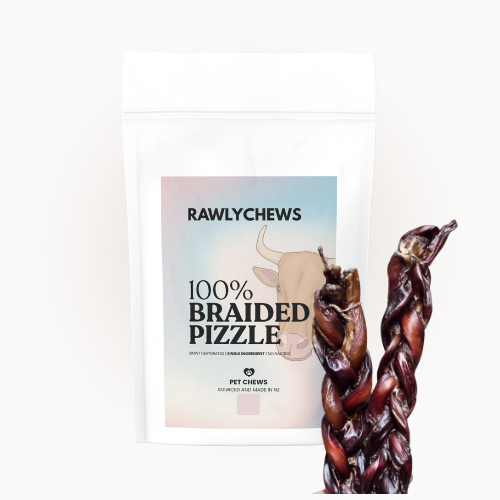 Beef Braided Pizzle