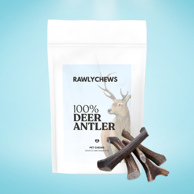Deer Antlers