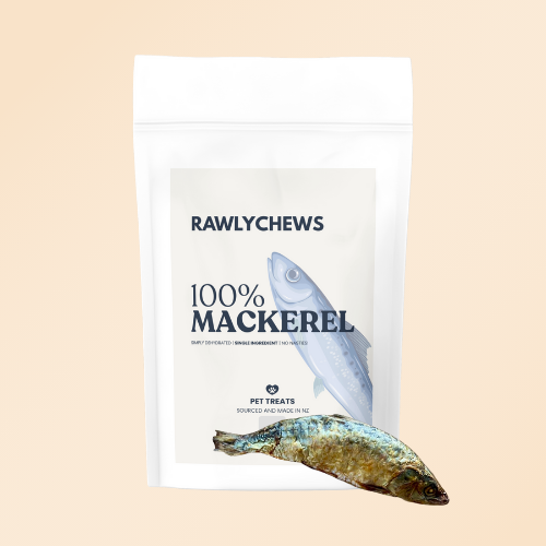 Mackerel
