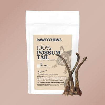 Possum Tail (No Fur)
