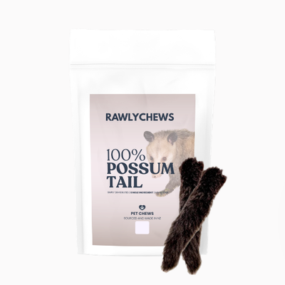 Possum Tail (with Fur)