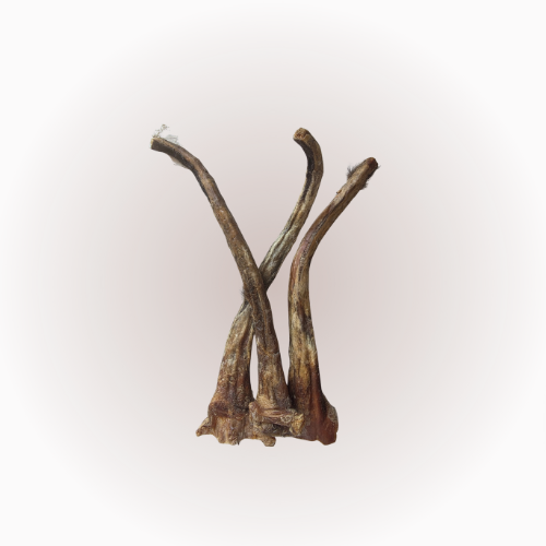 Possum Tail (No Fur)