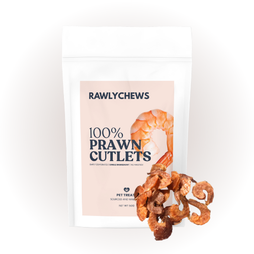 Prawn Cutlets