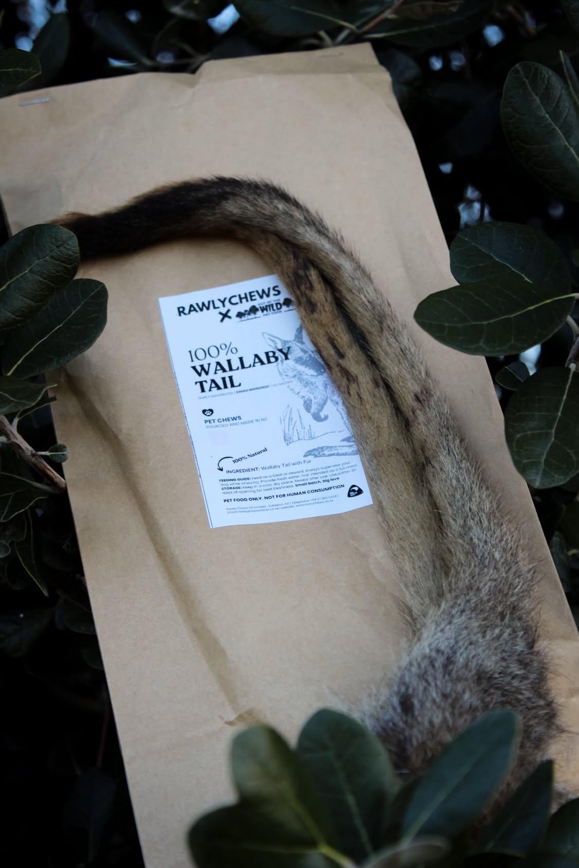 Wallaby Tail (Fur only)
