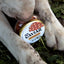 King Salmon Caviar