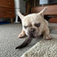 Goat Horn