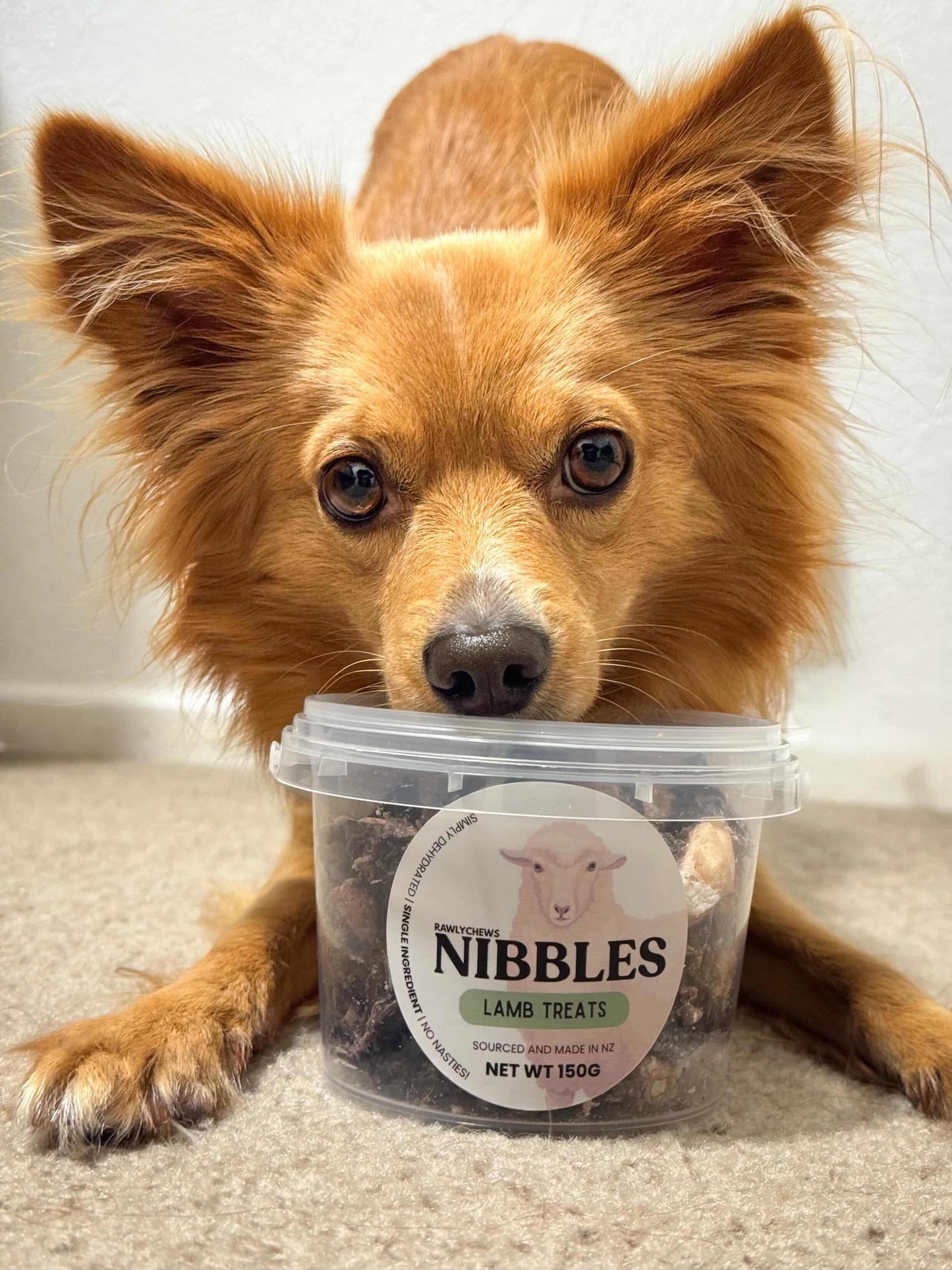 Lamb Heart Nibbles