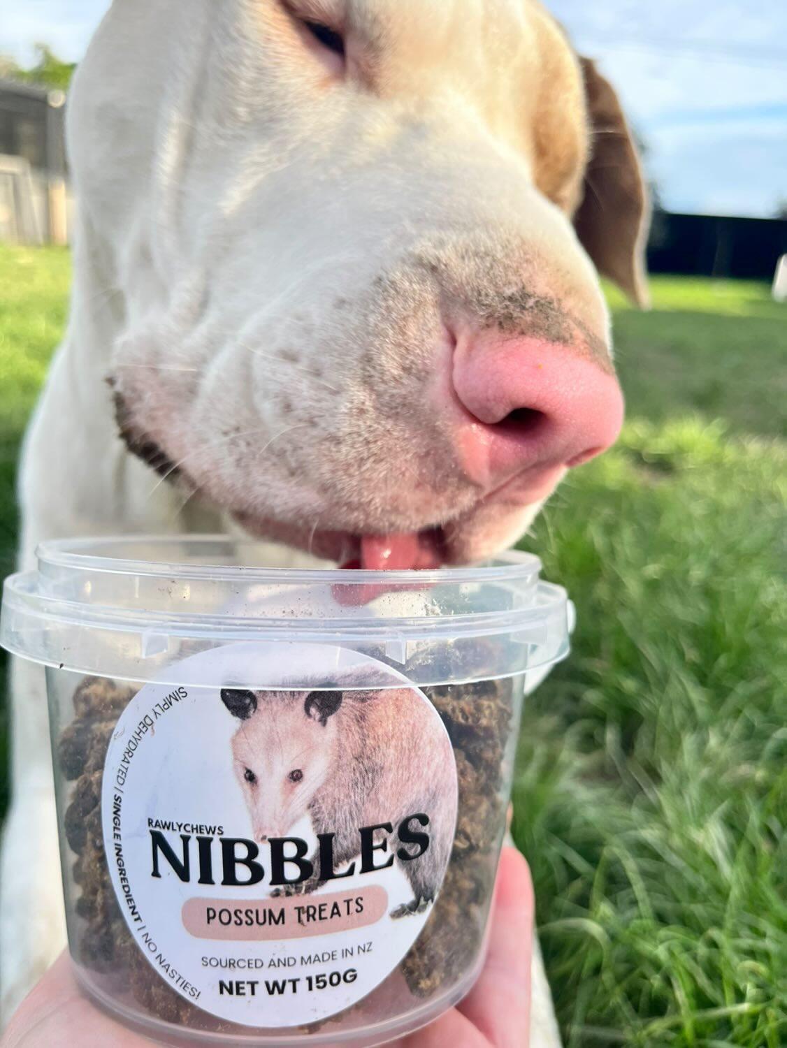 Possum Nibbles