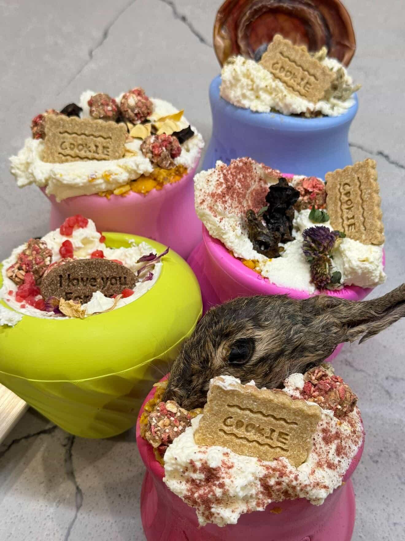 Bunny Head