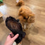 Hairy Cow Ear