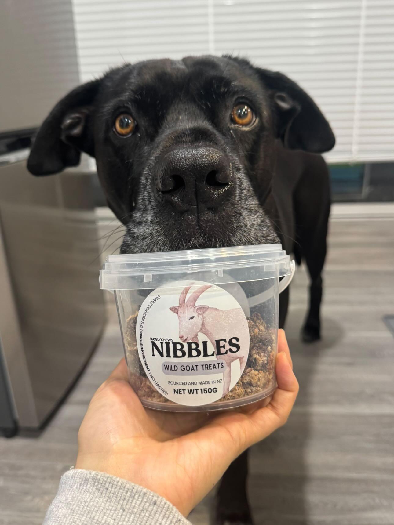 Wild Goat Nibbles