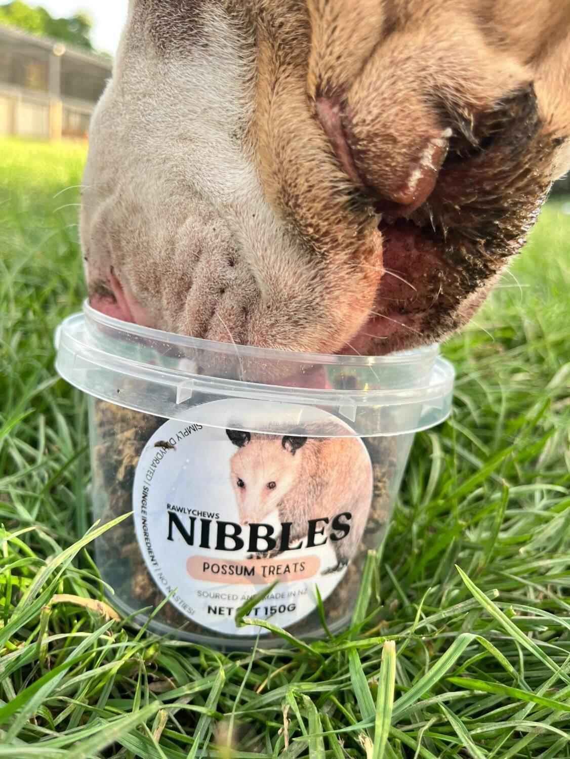 Possum Nibbles
