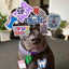 Rawly Chews Sticker Bar