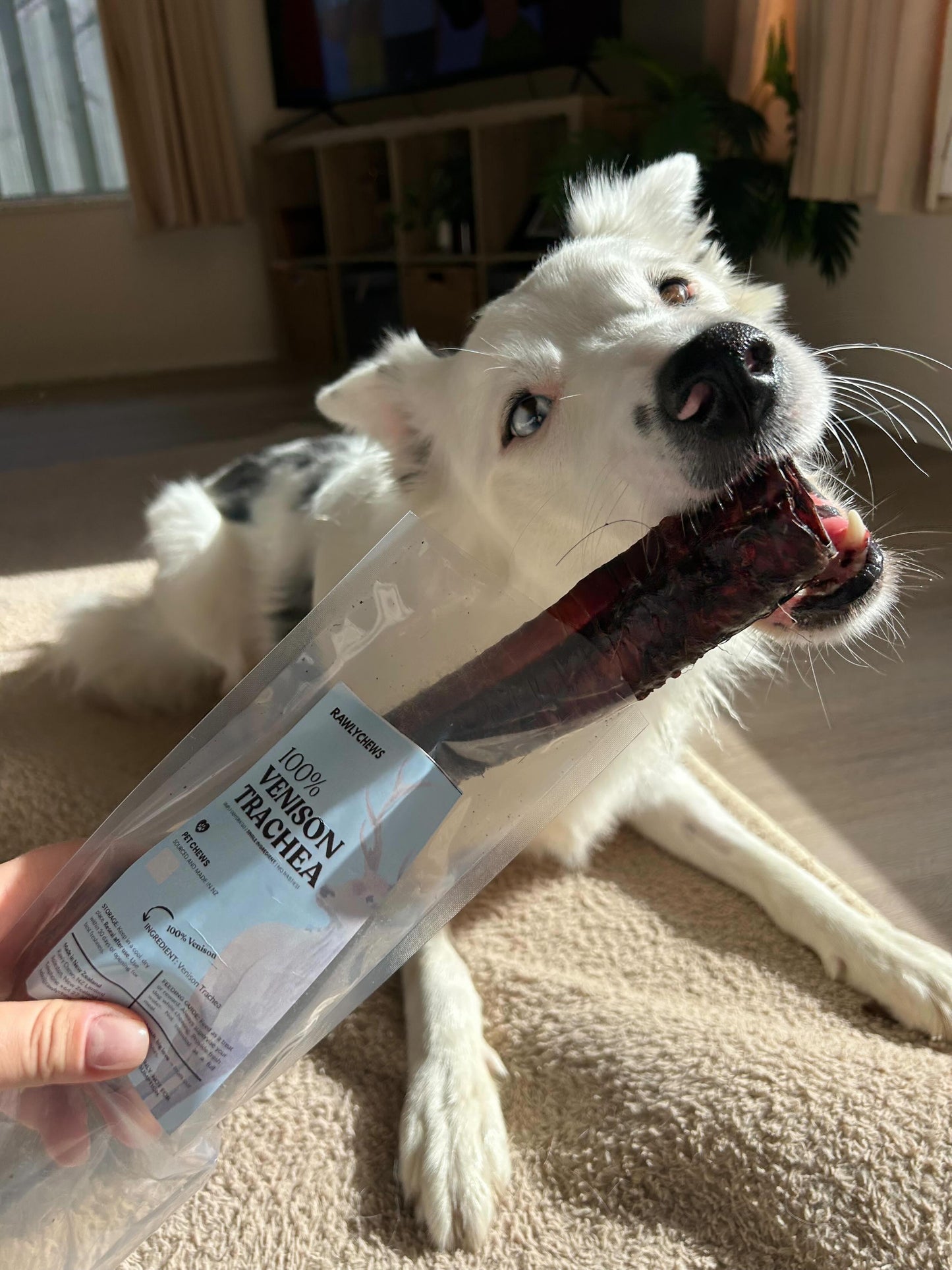 Venison Trachea