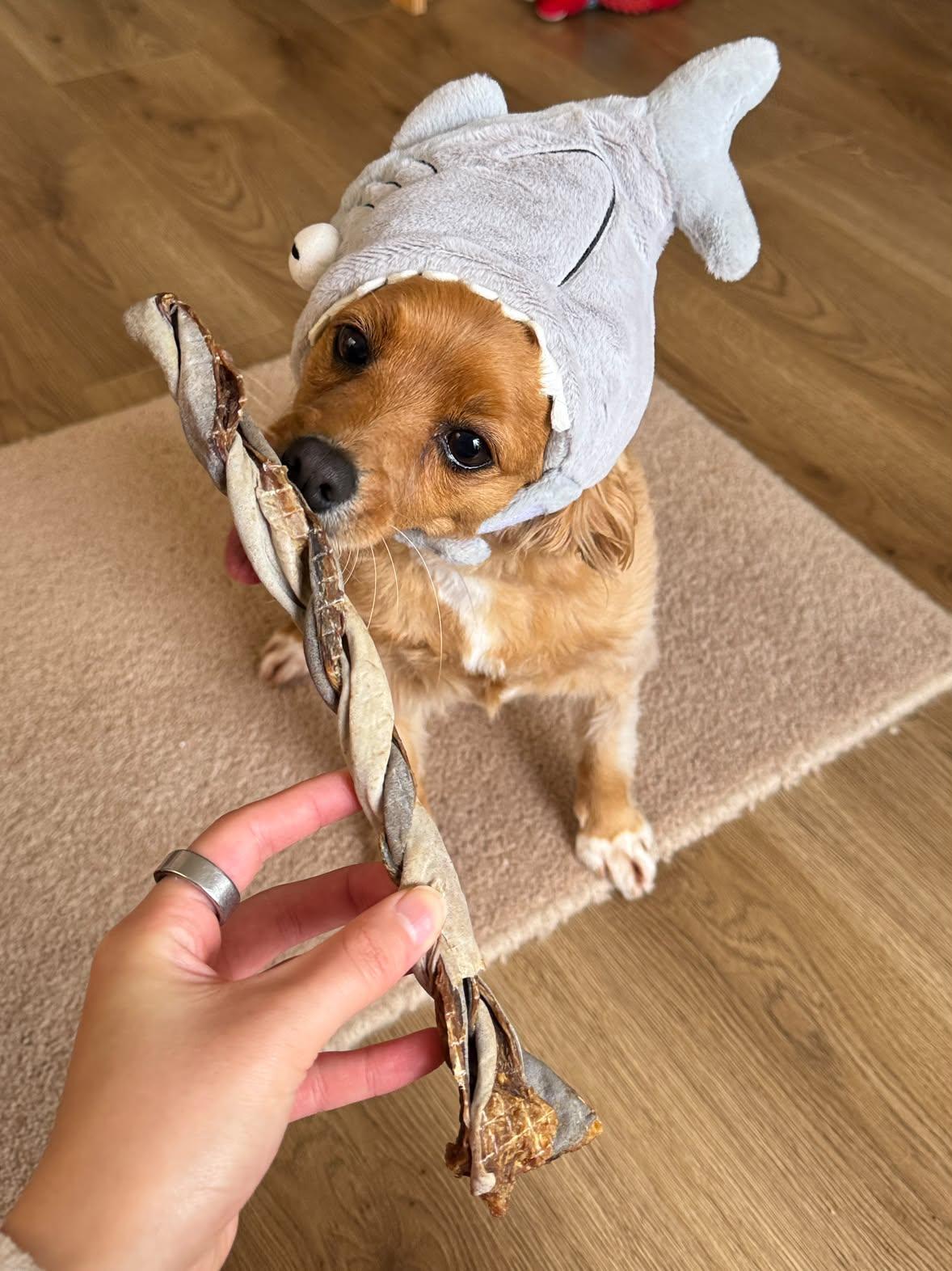Shark Skin Twister