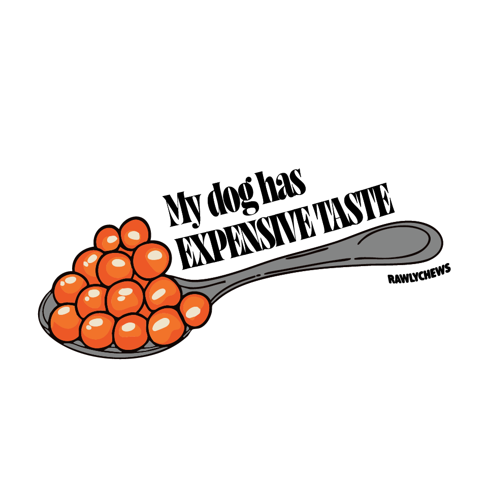 Rawly Chews Sticker Bar